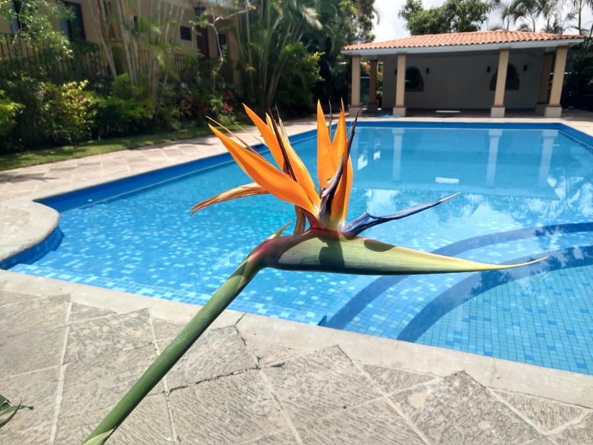 Hotel Spa Posada Tlaltenango Cuernavaca Exteriör bild